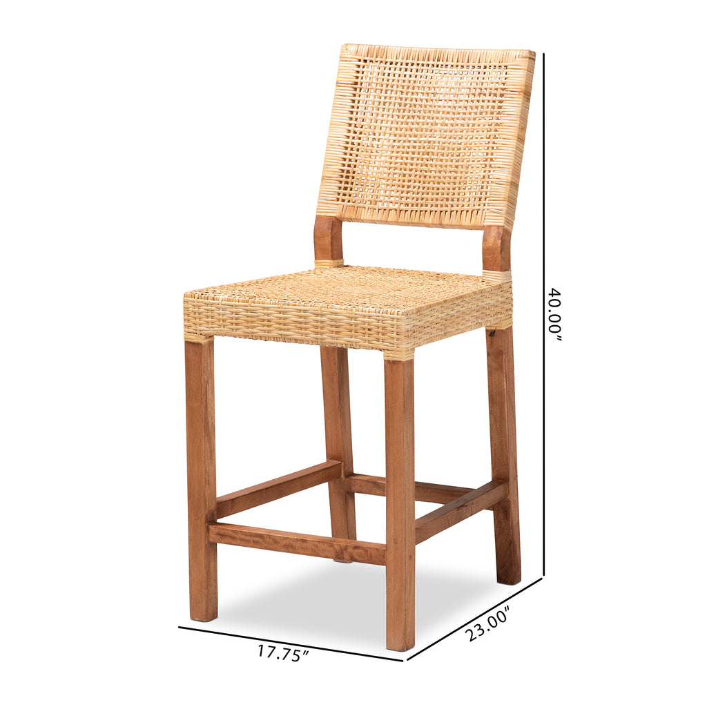 Lesia Modern Bohemian Natural Brown Rattan and Walnut Brown Finished W ...