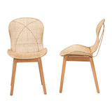 Baxton Studio Sabelle Japandi Natural Brown Mahogany and Rattan 2-Piece Dining Chair Set