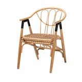 Cyntia Modern Bohemian Natural Brown Rattan Dining Chair