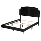 Oxley Traditional Glam and Luxe Black Velvet and Gold Metal Queen Size Panel Bed