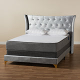 Easton Contemporary Glam and Luxe Grey Velvet and Gold Metal Queen Size Panel Bed