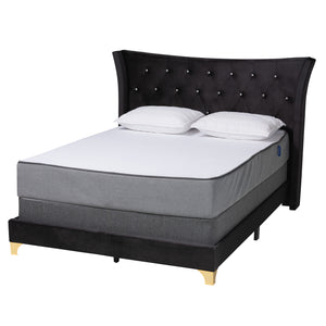 Easton Contemporary Glam and Luxe Black Velvet and Gold Metal Queen Size Panel Bed