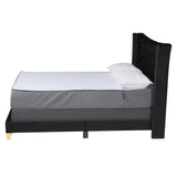 Easton Contemporary Glam and Luxe Black Velvet and Gold Metal Queen Size Panel Bed