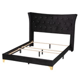 Easton Contemporary Glam and Luxe Black Velvet and Gold Metal Queen Size Panel Bed