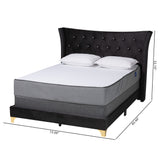 Easton Contemporary Glam and Luxe Black Velvet and Gold Metal Queen Size Panel Bed