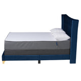 Easton Contemporary Glam and Luxe Navy Blue Velvet and Gold Metal Queen Size Panel Bed