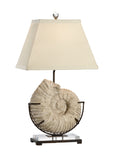 Ammonite Lamp