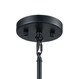 Caldwell 10'' Wide 1-Light Mini Pendant - Matte Black