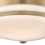 Riley 10'' Wide 1-Light Flush Mount - Satin Brass