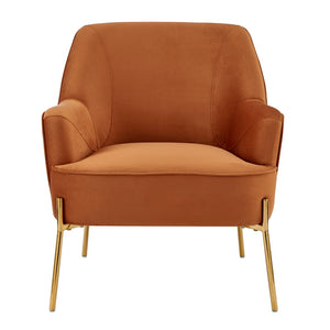 New Pacific Direct Arianna Velvet Fabric Accent Arm Chair 1900183-565-NPD