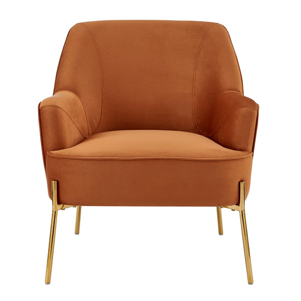 New Pacific Direct Arianna Velvet Fabric Accent Arm Chair 1900183-565-NPD