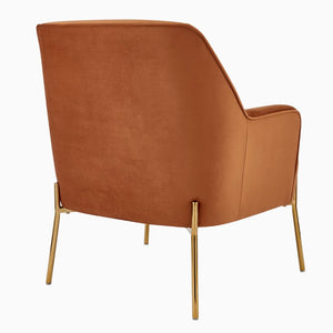 New Pacific Direct Arianna Velvet Fabric Accent Arm Chair 1900183-565-NPD