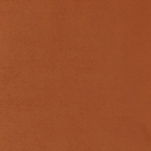 New Pacific Direct Arianna Velvet Fabric Accent Arm Chair 1900183-565-NPD