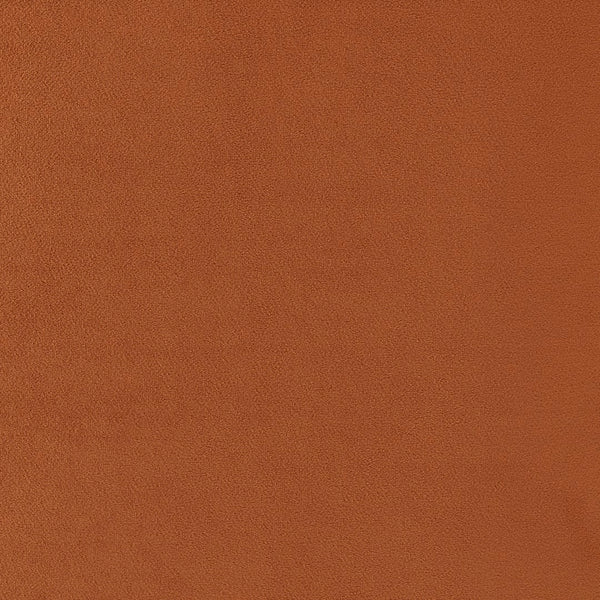 New Pacific Direct Arianna Velvet Fabric Accent Arm Chair 1900183-565-NPD