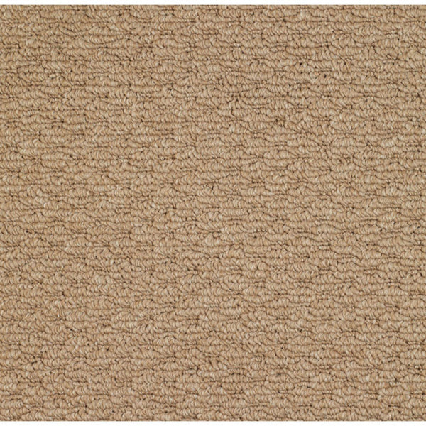 Capel Rugs Shoal Raffia-BD 1998 Indoor/Outdoor Bases Rug 1998NS02061200000
