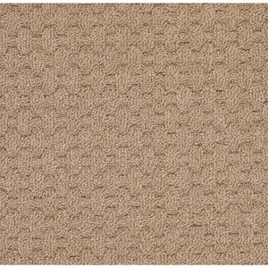 Capel Rugs Shoal Grassy Mountain-BD 1999 Indoor/Outdoor Bases Rug 1999NS02061200000