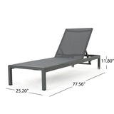 Cape Coral Outdoor Chaise Lounge with Cushion, Dark Gray Noble House