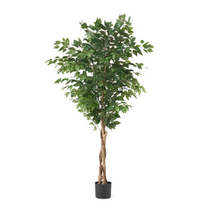 Harney 6' x 2.5' Artificial Ficus Tree, Green Noble House