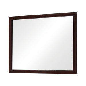 Conner Contemporary Rectangular Mirror Cappuccino