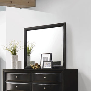 Briana Casual Rectangle Dresser Mirror Black