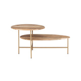 Tavin Two Tiered Coffee Table Natural Gold
