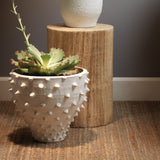 Jamie Young Co. Agave Side Table 20AGAV-STWD