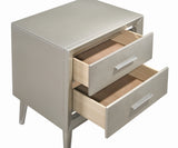 Ramon Modern 2-drawer Nightstand Metallic Sterling