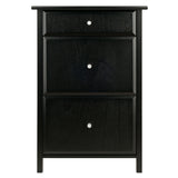 Winsome Wood Delta Home Office File Cabinet, Black 22321-WINSOMEWOOD