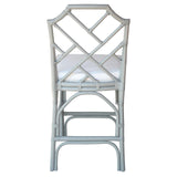 Kara Rattan Counter Stool Gray