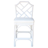 Kara Rattan Counter Stool White