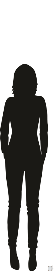 Hekman Furniture Wexford Mirror 24867