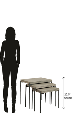 Hekman Furniture Bedford Park Gray Nest Of Tables 24910