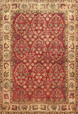 Crown Jewel Collection Hand-Knotted Lamb's Wool Area Rug
