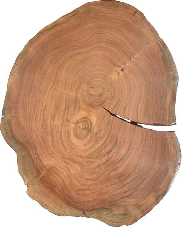 Woodland Acacia Wood / Acrylic Contemporary Natural Wood End Table - 20" W x 22" D x 22" H