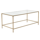 Arvi 44" Coffee Table in Clear Glass with Brass Base