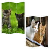 1 x 48 x 72 Multi Color Wood Canvas Curious Cat Screen