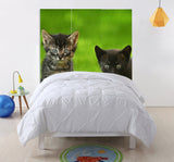 1 x 48 x 72 Multi Color Wood Canvas Curious Cat Screen