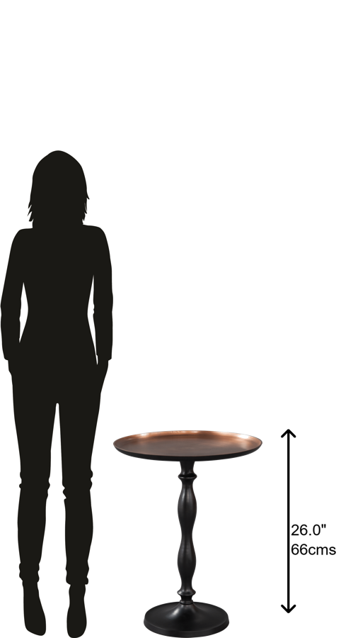 Hekman Furniture 27584 Copper Tray Top Chr Side Tb 27584