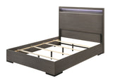 Escher Contemporary Bed Grey 27650Q-ACME