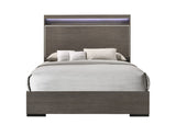 Escher Contemporary Bed Grey 27650Q-ACME