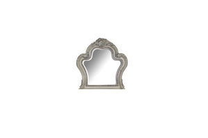 Dresden Transitional/Vintage Mirror Frame: Vintage Bone White 28174-ACME