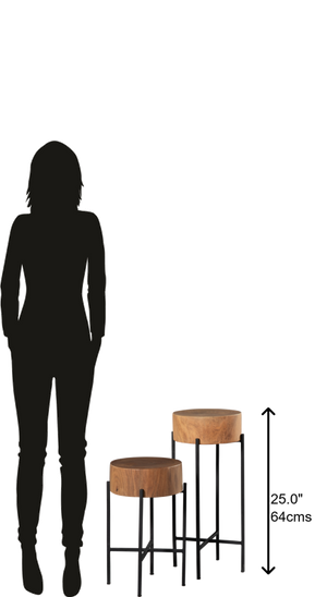 Hekman Furniture 28347 Pair Of Tables 28347