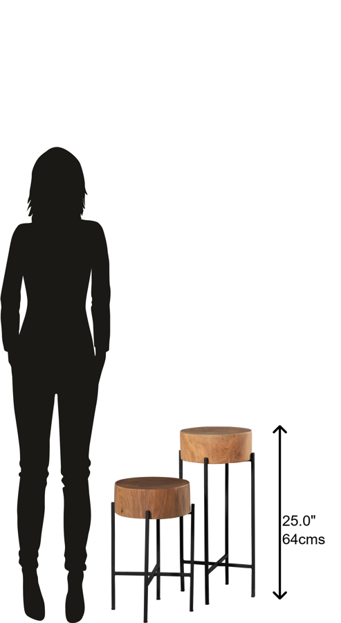 Hekman Furniture 28347 Pair Of Tables 28347