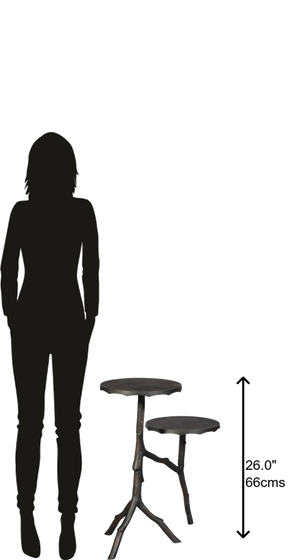 Hekman Furniture 28385 Twin Twig Chairside Table 28385