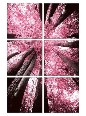 24' Canvas 6 Panels Blossom Trees Color Photo