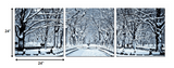 24' Multicolor Canvas 3 Horizontal Panels Winter Trees Photo