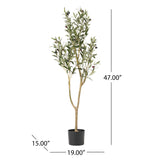 Taos 4' x 1.5' Artificial Olive Tree, Green Noble House