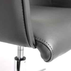 Sunny Pro Office Chair in Gray with Chrome Base