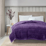 Madison Park Coleman Casual 100% Polyester Reversible Plush to Microfiber DA Blanket Purple King:108x90" MP51-7657