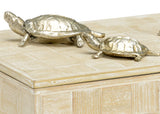 Tortoise Family Box